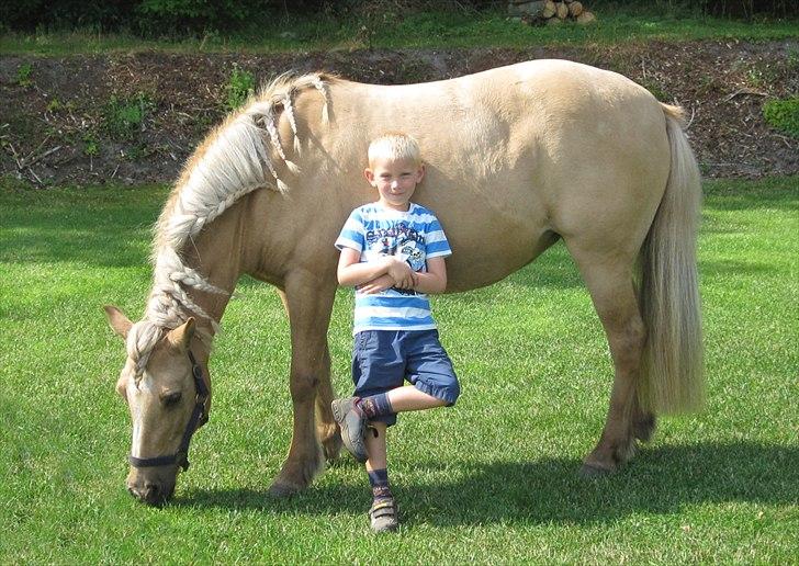 Islænder Sif "SOLGT" - Velkommen, Sif og Gustav hygger i haven., Sept. 2010 billede 1