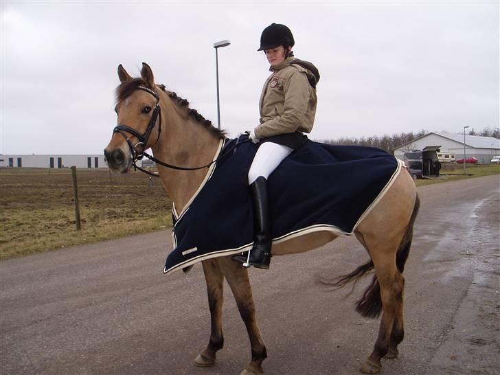 Anden særlig race Sasja R.I.P billede 16