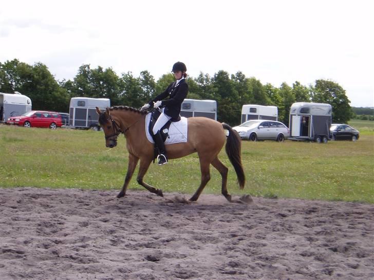 Anden særlig race Sasja R.I.P billede 19