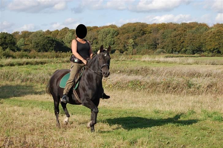 Anden særlig race Zorba - Hej med jer, her kommer jeg. :) billede 1