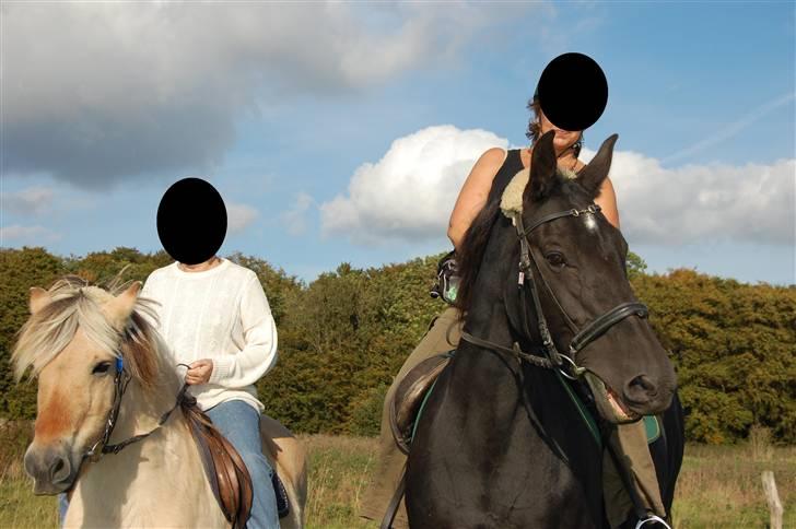 Anden særlig race Zorba - Mig og min veninde Lotte stiller os lige fint op til fotografen.:) billede 2