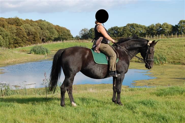 Anden særlig race Zorba - Så smuk er jeg. billede 3