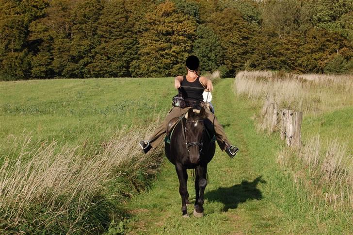 Anden særlig race Zorba - Ja, man skal finde sig i meget... billede 4