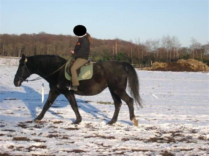 Anden særlig race Zorba - Brrrr billede 10