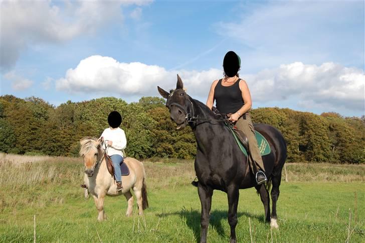 Anden særlig race Zorba - Ser jeg dum ud siger du ?! billede 13