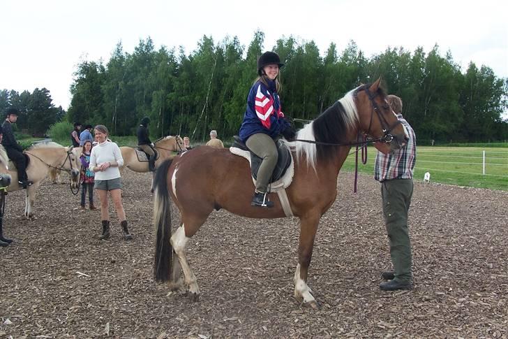 Anden særlig race Rainbow - Med handicaprytter. billede 9