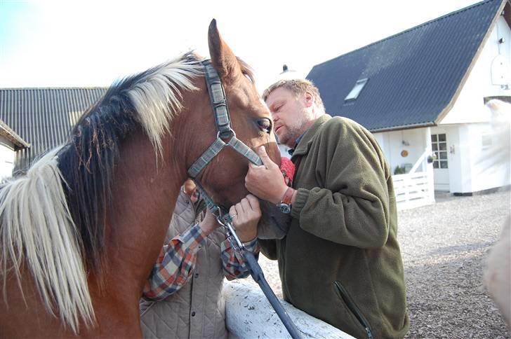 Anden særlig race Rainbow - Hvad laver du farmand? billede 19