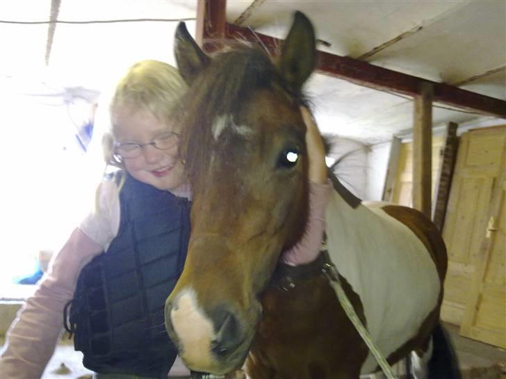 Anden særlig race Stella Nova (solgt) - Hvem nyder det mon mest ??? billede 3