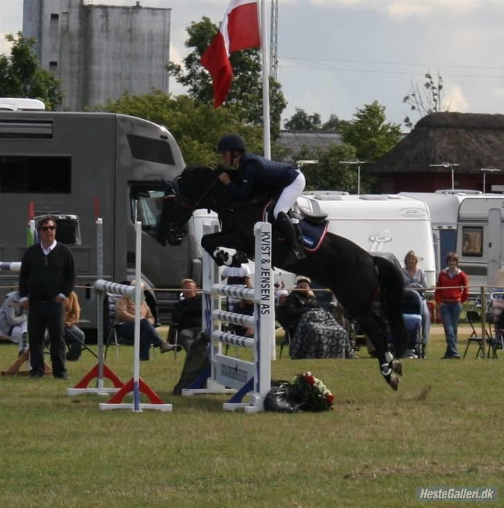 New Forest Hamlet's Merick (solgt) - s´en i boller:) billede 13