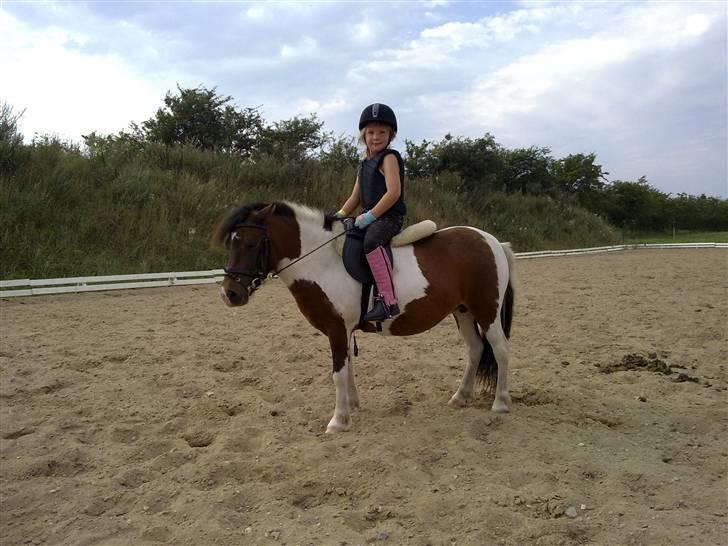 Anden særlig race Stella Nova (solgt) - Stolt pige...mor jeg kan da godt lige lave en parade så du bedre kan tage billeder ;o) billede 5