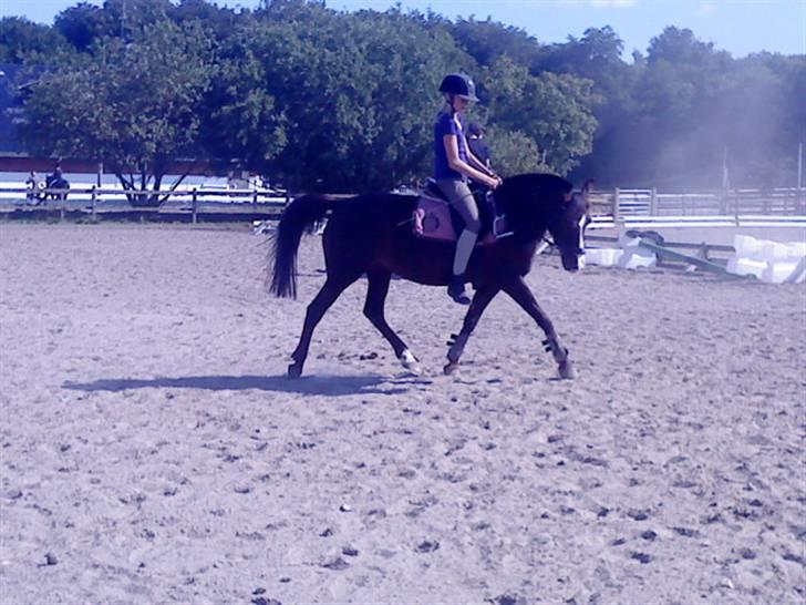 DSP Red Lady billede 14