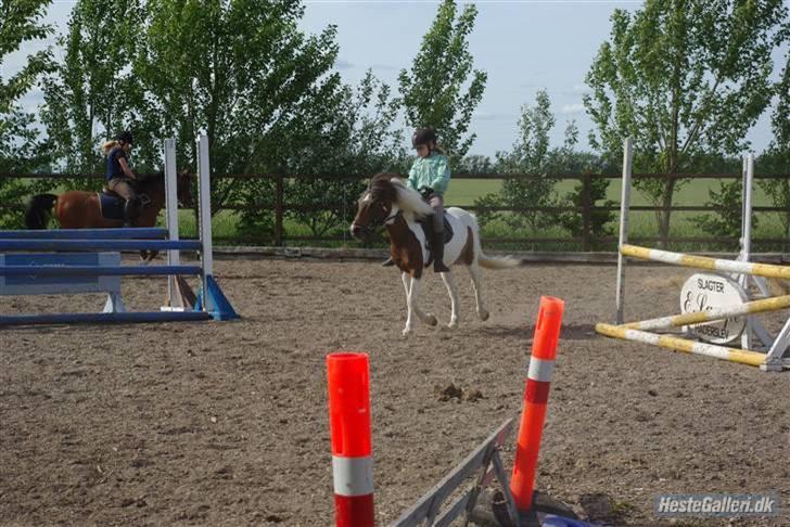 Anden særlig race Shira=]<3 - Shira og jeg springer !!!!!!=]<33333 billede 3