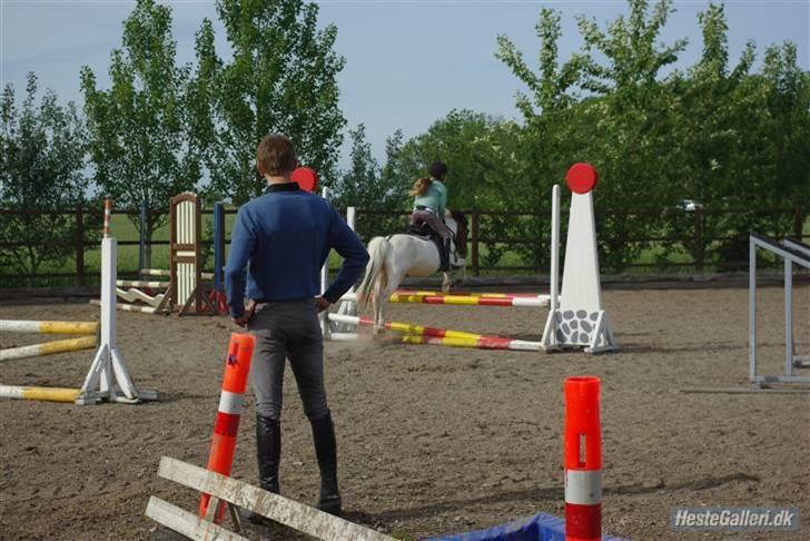 Anden særlig race Shira=]<3 billede 4