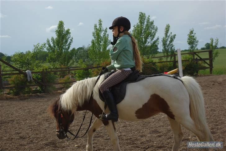 Anden særlig race Shira=]<3 - Shira og jeg varmer op !!!=]<333 billede 6