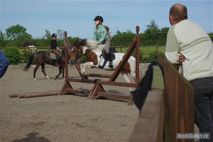 Anden særlig race Shira=]<3 billede 17