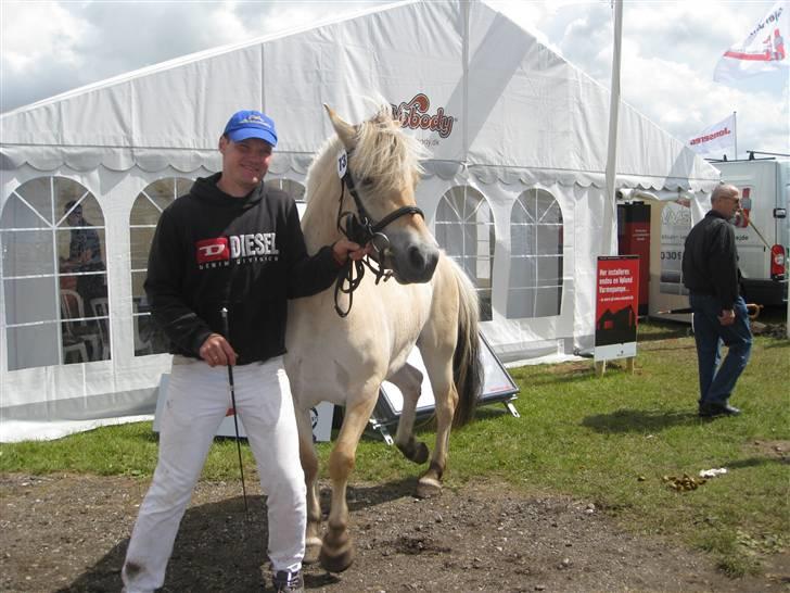 Fjordhest Kaia Halsnæs billede 3