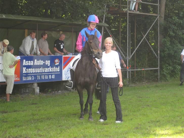 Anden særlig race Shiela billede 2