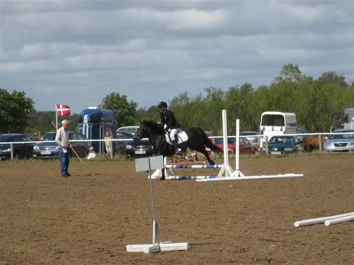 Anden særlig race Shiela billede 5