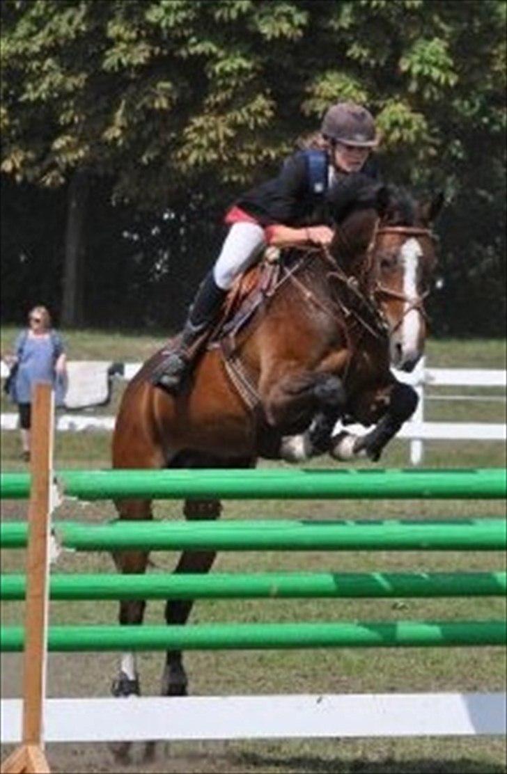 Holstener Mr. Rocky  - Copenhagen Horseshow  billede 3