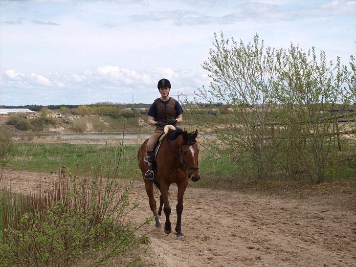 Fuldblod (XX) Little Wing - 6# Skridter af på galopbanen med grusgraven i baggrunden (Foto; Far) billede 6