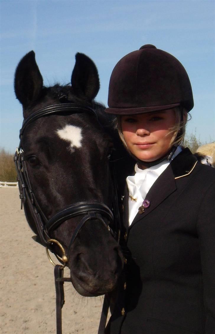 New Forest Pedro NFH 104 - Vores første landsstævne i Solrød 2007 billede 8