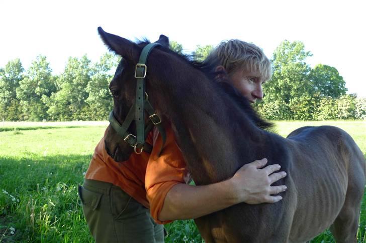 Dansk Varmblod Charisse Zola - Nusse-nusse :P billede 14