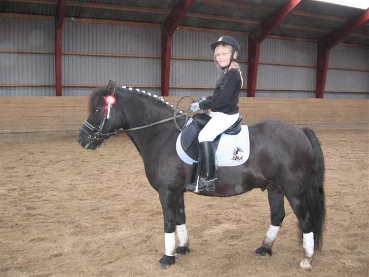 Anden særlig race Lindholms Indi*Solgt* - her er mig og Indi, vi har lige vundet!!! ja han var sød i starten og gik fint, men tror kun jeg er 7-8 år på det billede i dag er jeg 9. billede 1