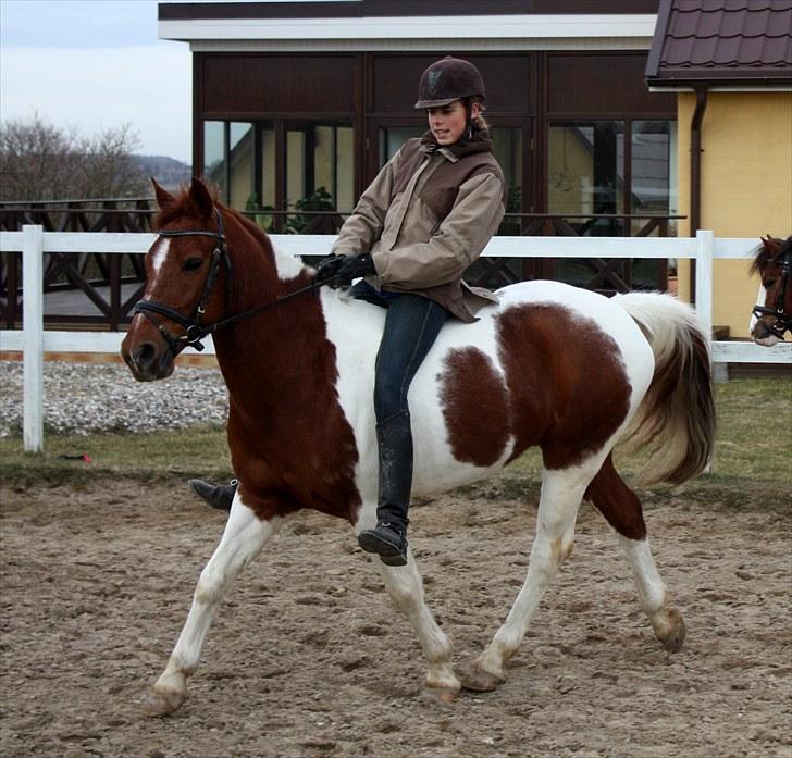 Anden særlig race Kenny<3<3 - Jeg elsker dig!<3 Foto: Far billede 14