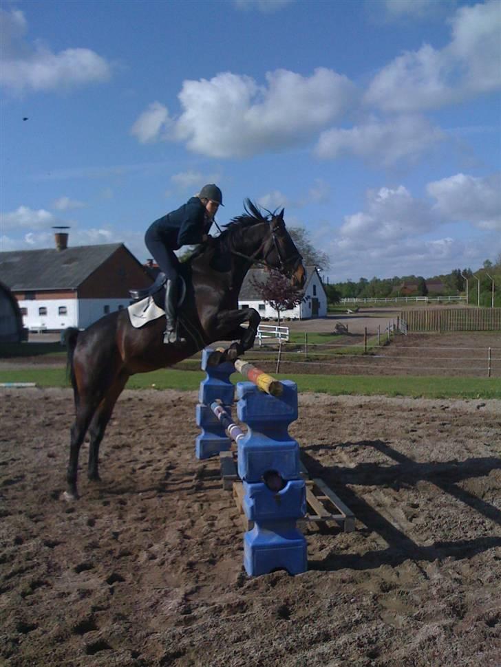 Tysk Varmblod round about (SOLGT) - 130 cm :D billede 8