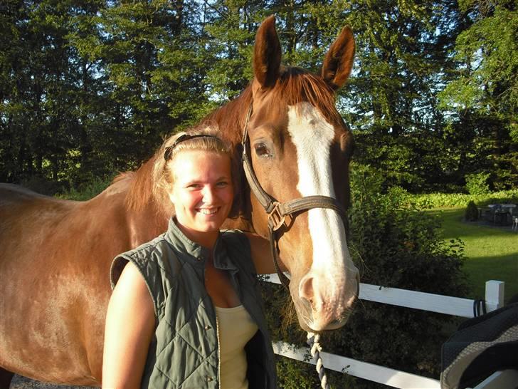 Dansk Varmblod Kirsebo`s Sally - Mhm , rigtig nusse hygge aften ..  billede 8