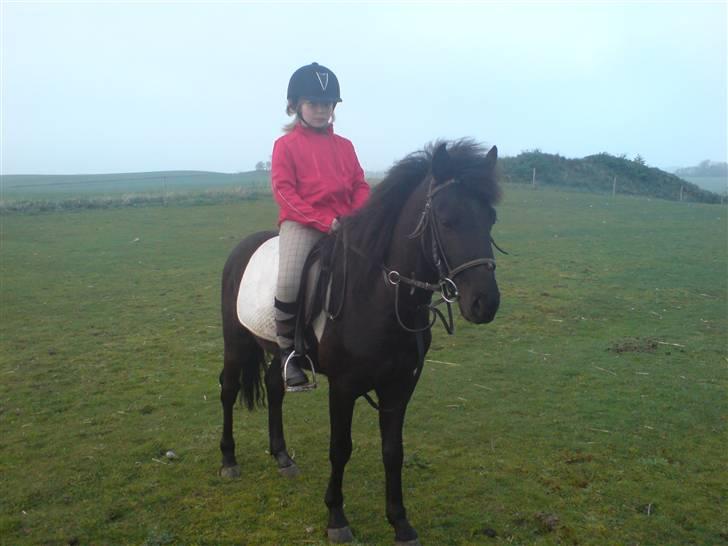 New Forest gucci " SOLGT " - gucci og amanda billede 1