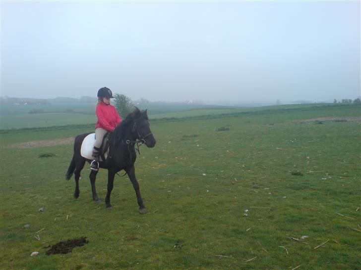 New Forest gucci " SOLGT " billede 4