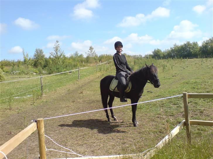 New Forest gucci " SOLGT " - mariane og gucci billede 8