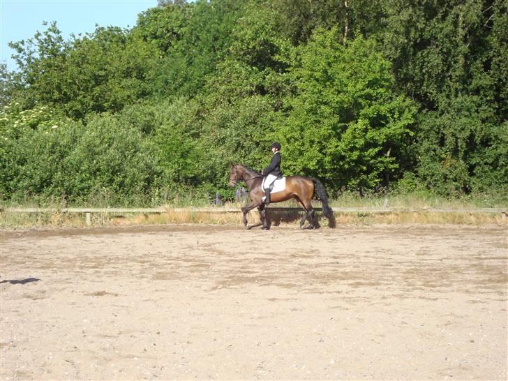 Anden særlig race Jamo - RIP 30/05 - 2011:'( billede 19