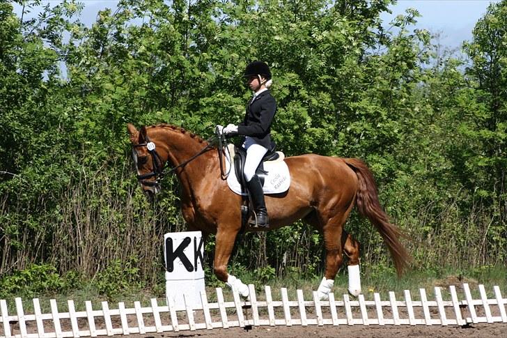 Oldenborg Pandoer - SOLGT :'( billede 1