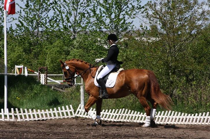 Oldenborg Pandoer - SOLGT :'( billede 2