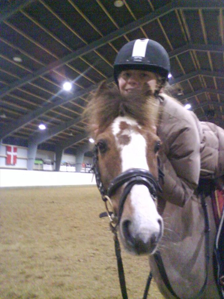 Anden særlig race BamBam *Solgt* ;( - Tutti & Bambam :P billede 18