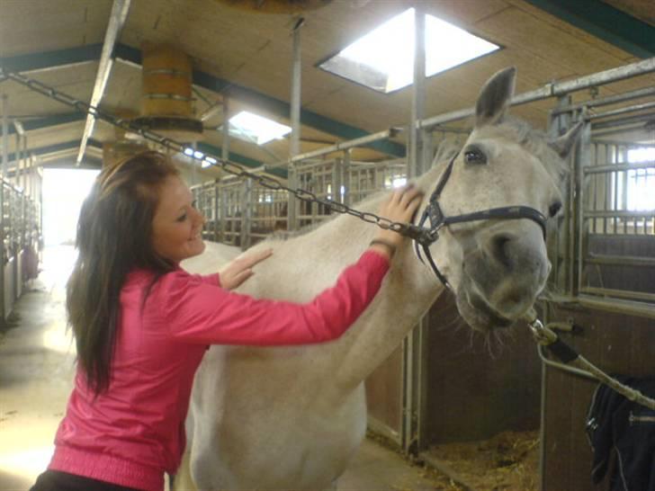 Hollandsk Sportspony Bertha billede 10