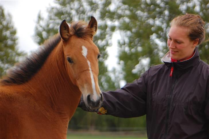Anden særlig race Dyssegaardens Ameidy † - Ameidy er her 3 mdr. gammel.   Nyt billede. Taget d. 28-09-09 billede 5