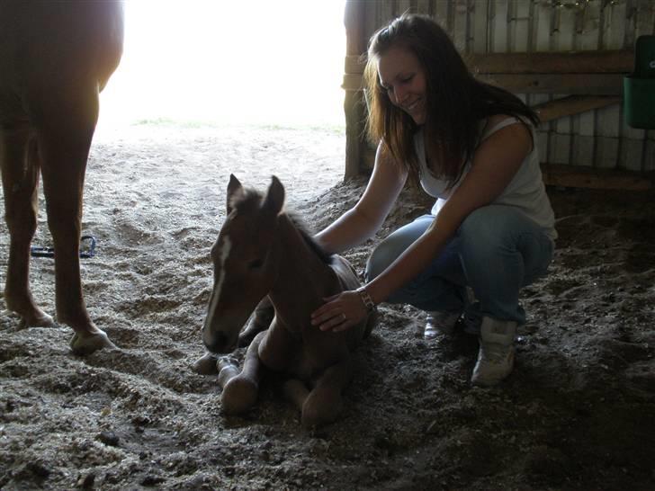 Anden særlig race Dyssegaardens Ameidy † - Kun 7 timer gammel billede 8