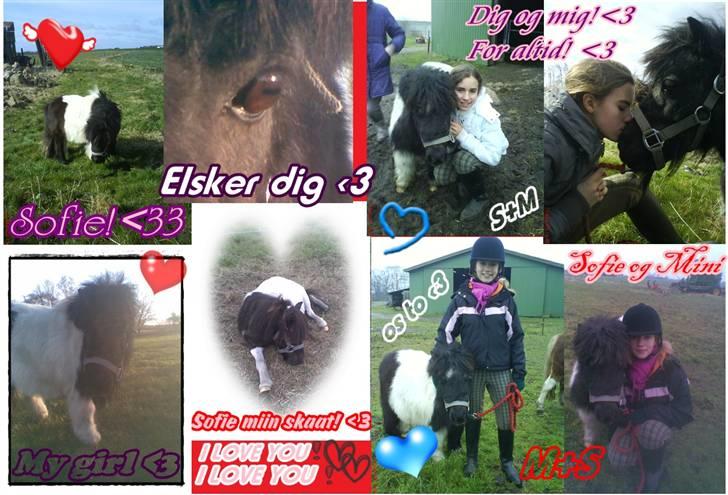 Miniature Sofie <3 *Passer* - Min lille skaaht <3 billede 15