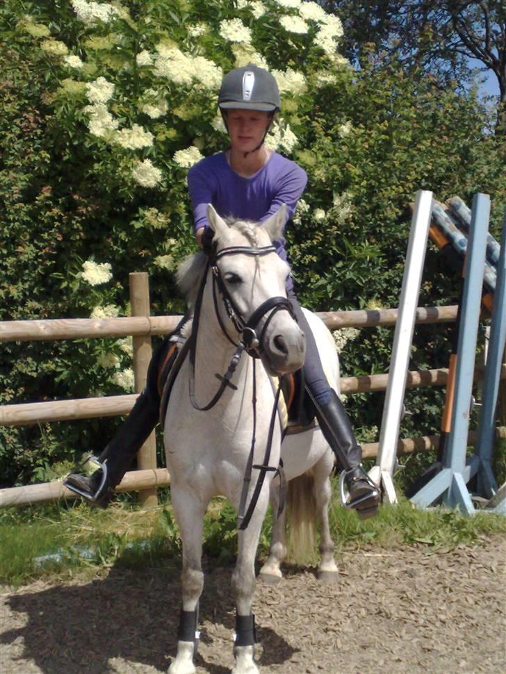 Anden særlig race Snehvide - 10# Protræt, ting ting ;)        Foto : Kathrine<3 billede 10