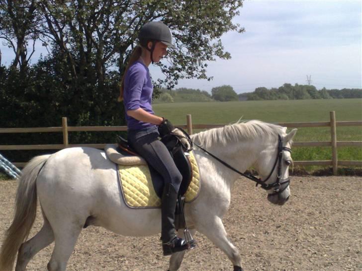 Anden særlig race Snehvide - 11# Skridt :D      Foto : Kathrine<3 billede 11