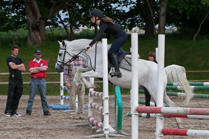 Anden særlig race Bella *SOLGT* - Nyeste nye .. <3 spring billede 15