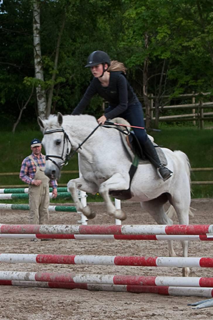 Anden særlig race Bella *SOLGT* - Nyeste nye .. <3 spring billede 16