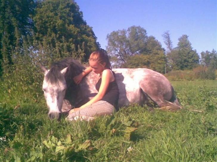 Welsh Pony (sec B) Gipsy | solgt | - hygge dag på folden! :) foto : sara emilie billede 18