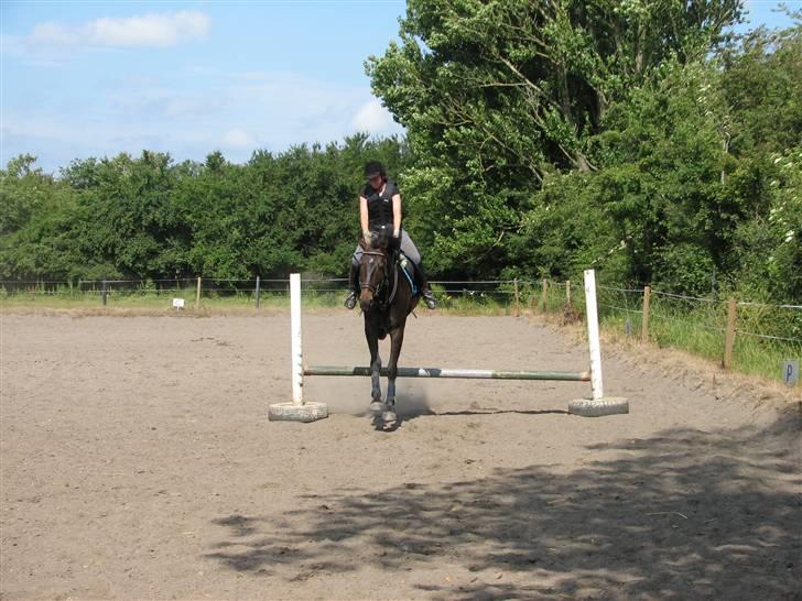 Oldenborg Prince- SORTE DJÆVLE - Spring den 26juni 2009 første gangt i et halt år billede 16