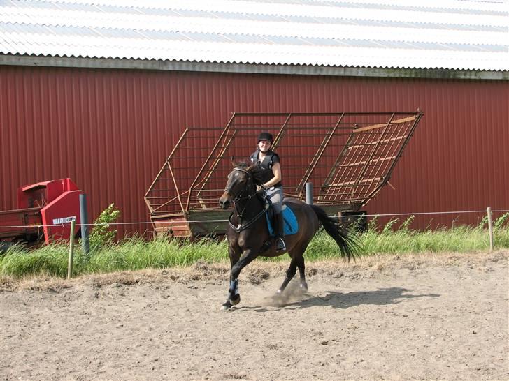 Oldenborg Prince- SORTE DJÆVLE - Spring den 26juni 2009 første gangt i et halt år billede 18