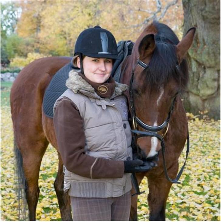 Arabisk fuldblod (OX) Pi OX *tidligere part* - Billeder vi fik taget til en artikel i Wendy billede 7