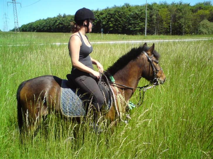 Anden særlig race Tjalfe - Tjalfe og Julie har fået øje på et eller andet billede 15